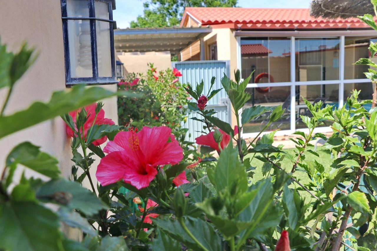 Bungalow el Colorado Conil De La Frontera Exterior foto